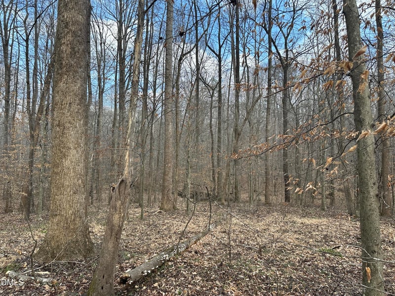 0000 Dairyland Rd, Chapel Hill, NC 27516