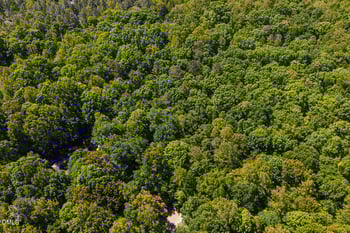 0000 Hawes Rd, Hillsborough, NC 27278