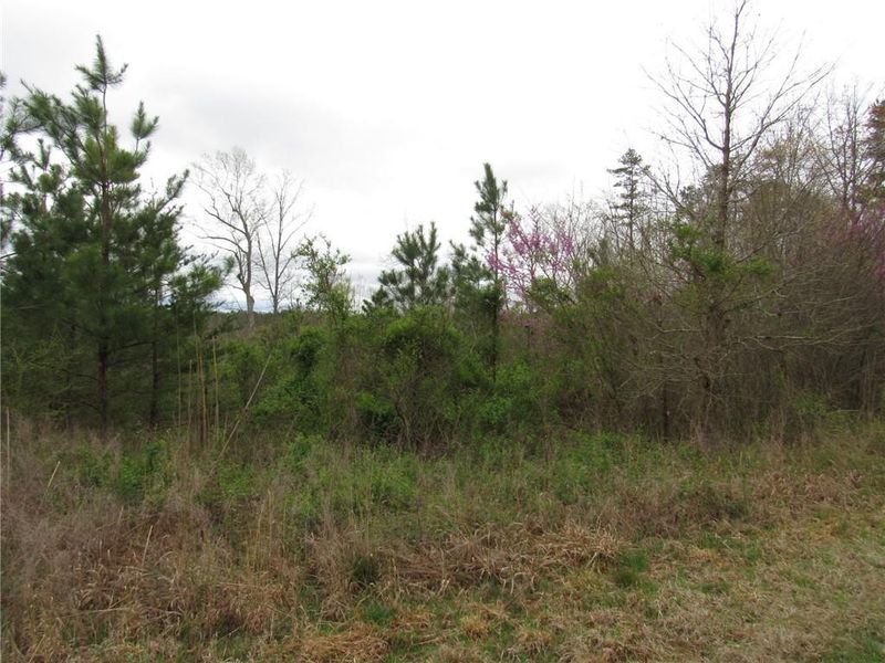 0000 Hightowers Rd, Mebane, NC 27302