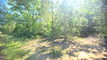 0000 Laurel Mill Rd, Louisburg, NC 27549