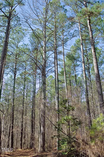 001 Green Hill Rd, Franklinton, NC 27525