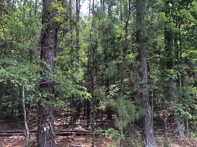 01 Bowden Rd Lot 3, Chapel Hill, NC 27516