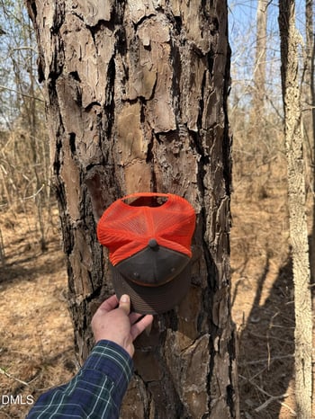 01 Collins Mountain Rd, Chapel Hill, NC 27516