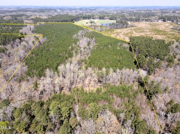 01 Collins Mountain Rd Lot 1, Chapel Hill, NC 27516