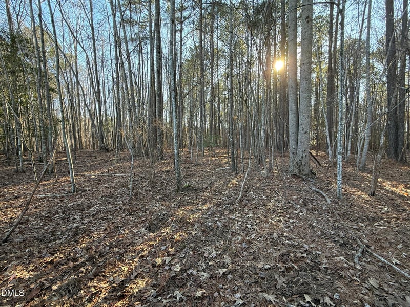 01 Massey Rd, Zebulon, NC 27597