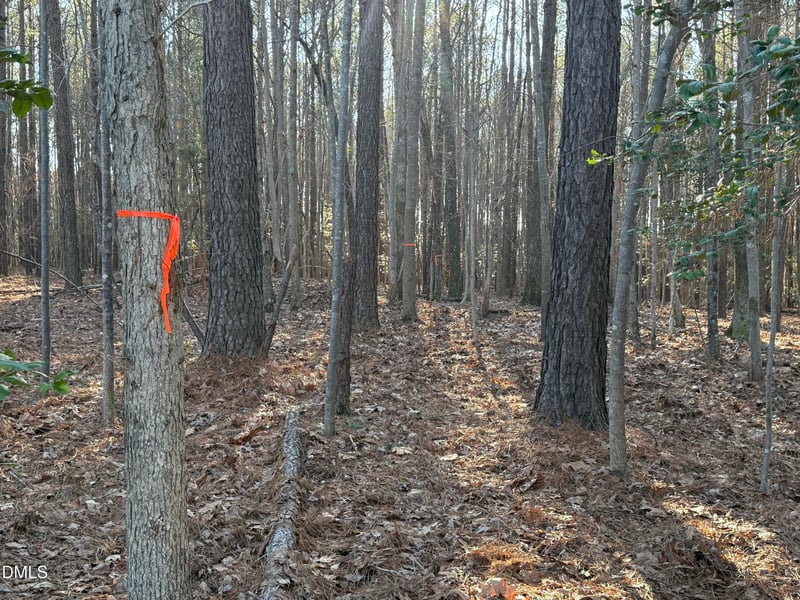 01 Massey Rd, Zebulon, NC 27597