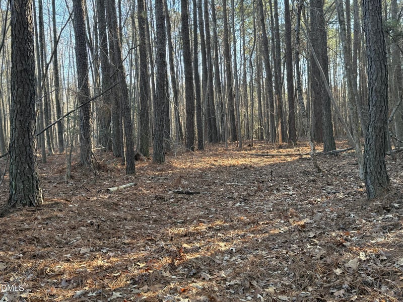 01 Massey Rd, Zebulon, NC 27597