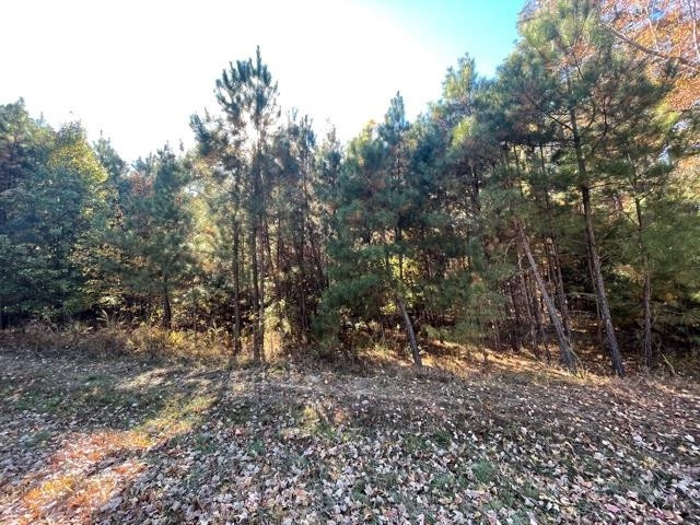 0E Ferrell Rd Lot none, Apex, NC 27523
