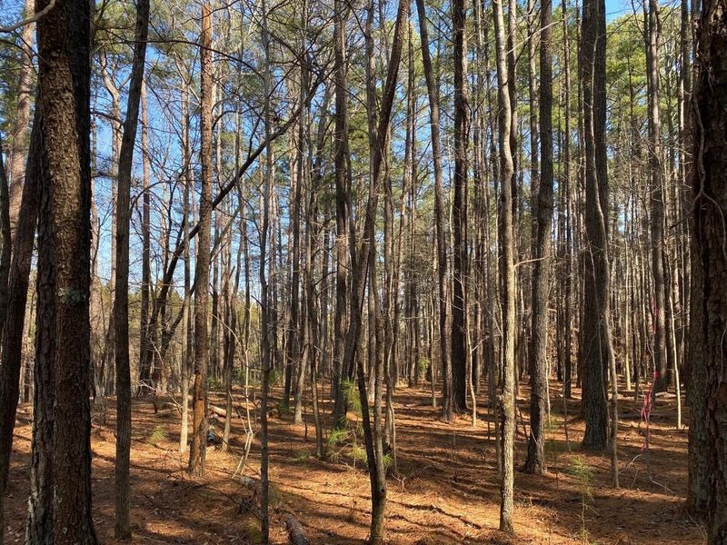 1-1 Whitfield Rd Lot 1-1, Chapel Hill, NC 27514