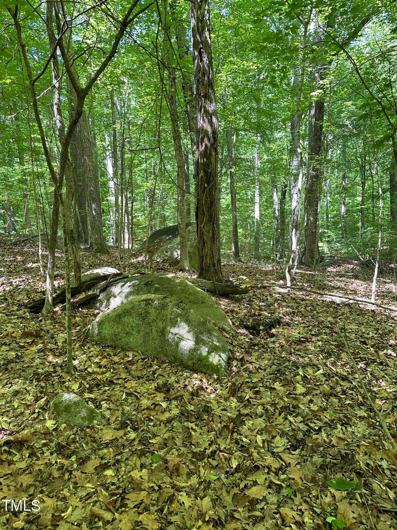 1 Buttonwood Ln Lot 1, Roxboro, NC 27574