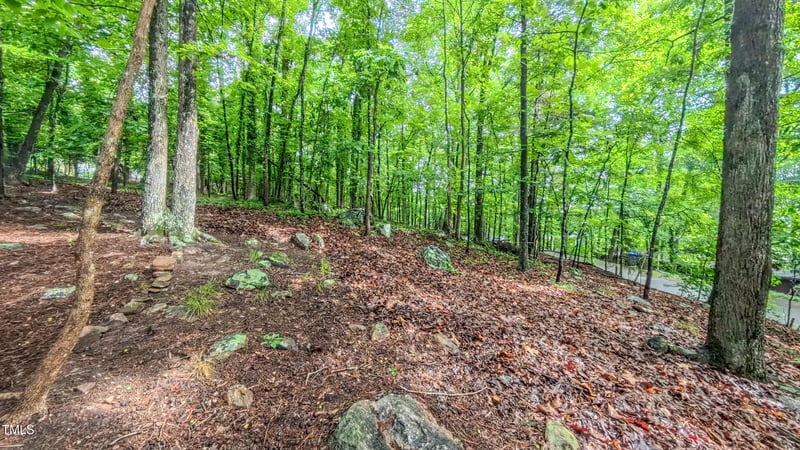 1 Davie Ln, Chapel Hill, NC 27514