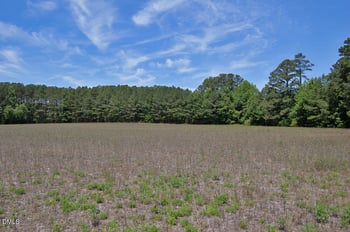 1 G F Ball Rd Lot 1, Louisburg, NC 27549