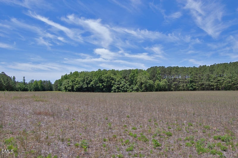 1 G F Ball Rd Lot 1, Louisburg, NC 27549