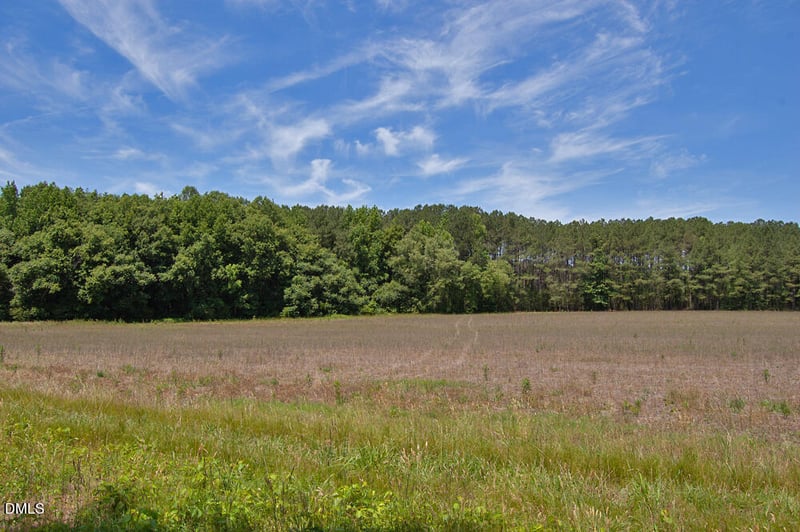 1 G F Ball Rd Lot 1, Louisburg, NC 27549