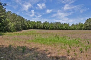 1 G F Ball Rd Lot 1, Louisburg, NC 27549