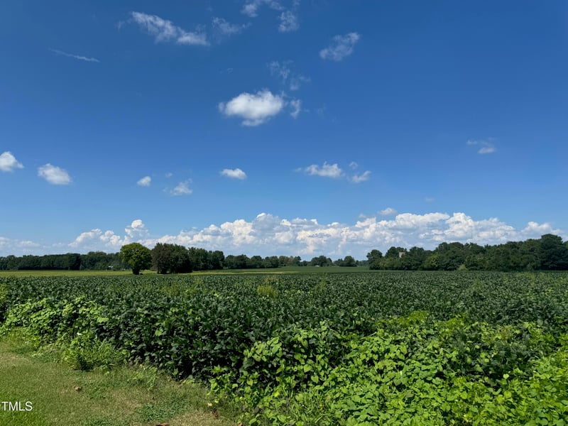 1 Green Path Rd, Dunn, NC 28334