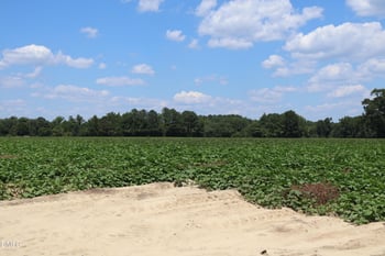 1 Holly Grove Rd Lot TBD, Benson, NC 27504