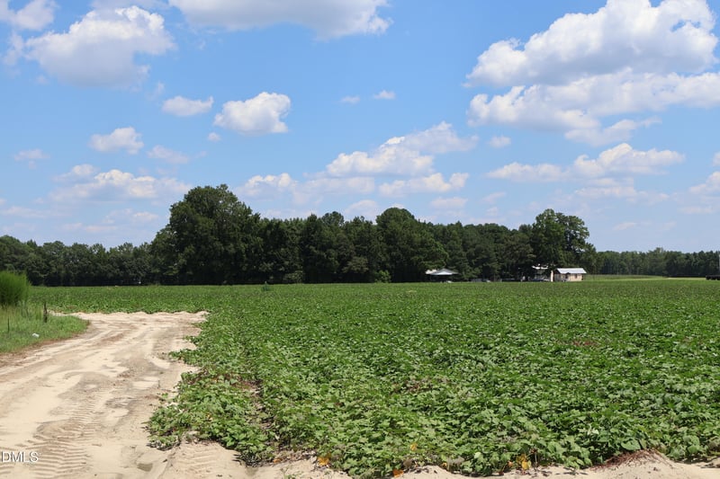 1 Holly Grove Rd Lot TBD, Benson, NC 27504