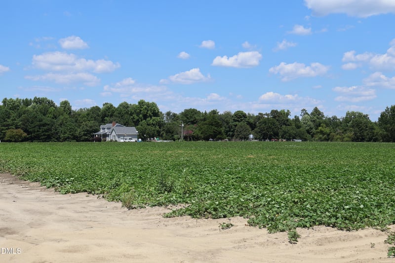 1 Holly Grove Rd Lot TBD, Benson, NC 27504