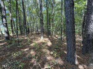 1 Massengill Pond Rd Lot 1, Angier, NC 27501