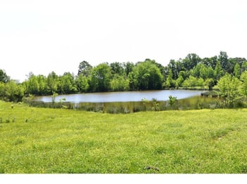 1 Quakenbush Rd, Snow Camp, NC 27349
