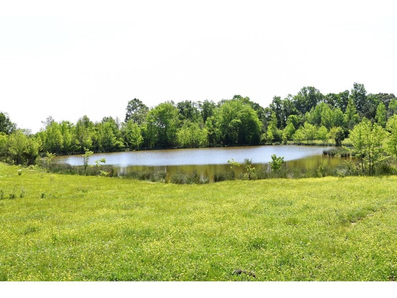 1 Quakenbush Rd, Snow Camp, NC 27349