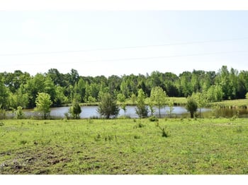 1 Quakenbush Rd, Snow Camp, NC 27349
