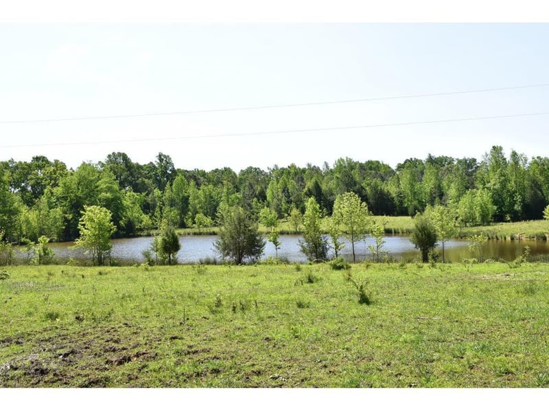 1 Quakenbush Rd, Snow Camp, NC 27349