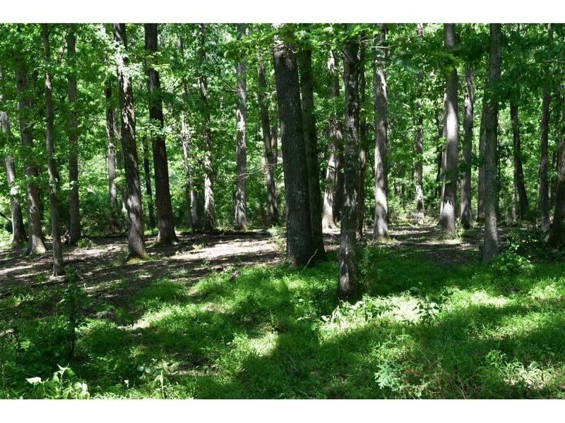 1 Quakenbush Rd, Snow Camp, NC 27349