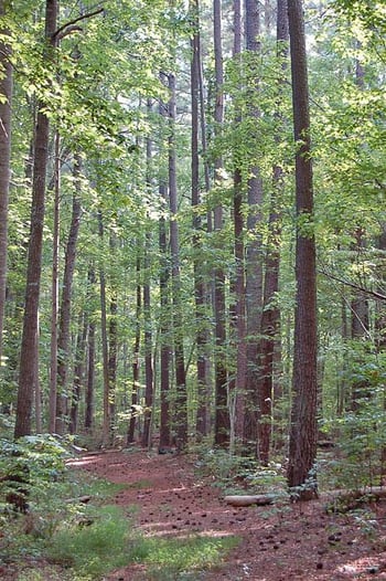 1 Tom Webb Rd Lot 1, Roxboro, NC 27573