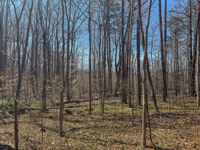 1.46 Acre Boston Rd Lot B, Roxboro, NC 27574