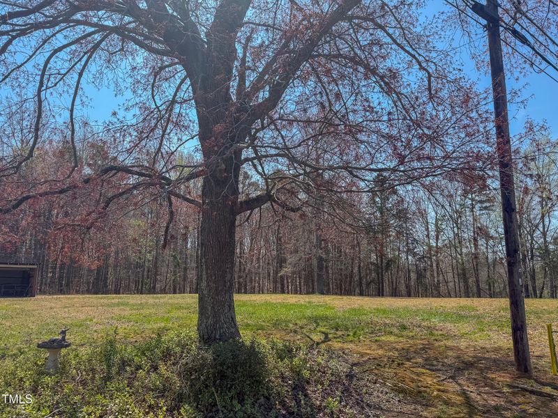 1.46 Acre Boston Rd Lot B, Roxboro, NC 27574