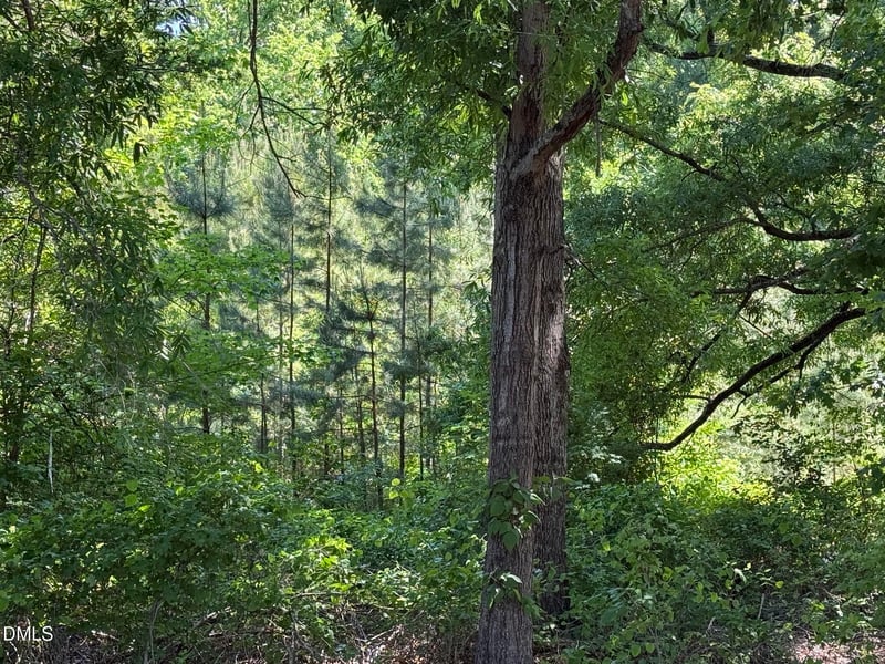 1.5 Ac Lot Country Club Rd, Roxboro, NC 27574