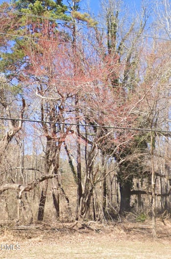 1.5 Acres Burlington Rd, Roxboro, NC 27573