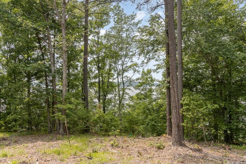 10 Bartley Holleman Rd, New Hill, NC 27562