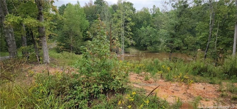 10 Jasmine Rd, Fuquay Varina, NC 27526