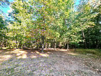 10 Lakestone Est, Pittsboro, NC 27312