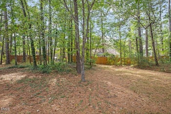 10 Petersburg Pl, Durham, NC 27703