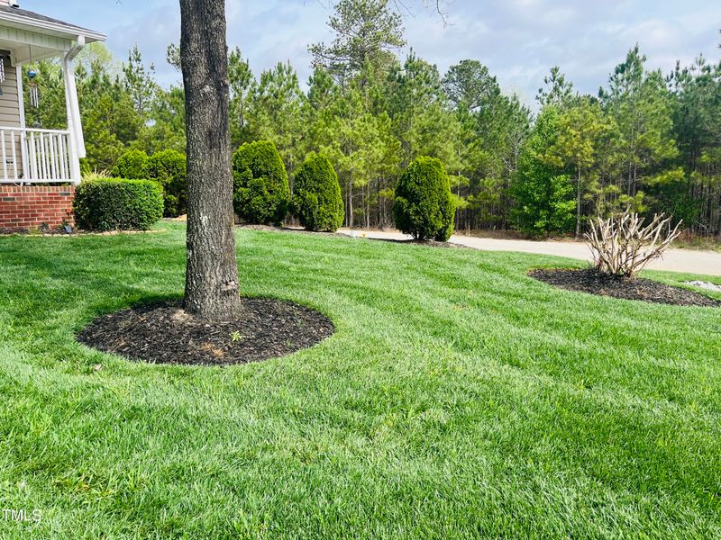 10 Sapphire Dr, Sanford, NC 27332