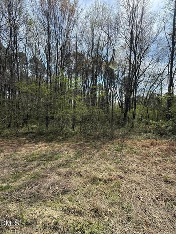 10 Sutton Rd, Louisburg, NC 27549