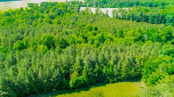 10.19 Acre Orange Grove Rd, Hillsborough, NC 27278