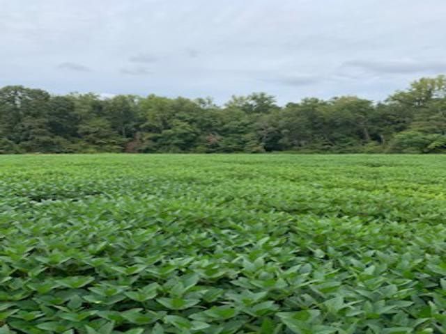 100 Blackard Rd, Roxboro, NC 27574