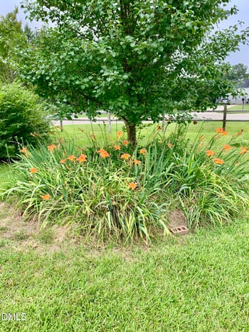 100 Blackberry Creek Dr, Willow Springs, NC 27592