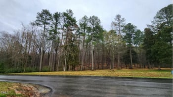 100 Brook Green Ln, Pittsboro, NC 27312