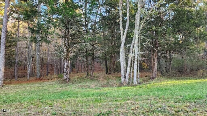 100 Brook Green Ln, Pittsboro, NC 27312