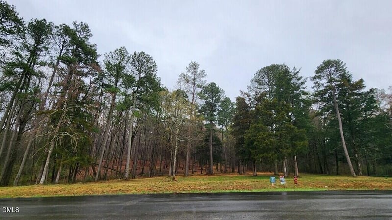 100 Brook Green Ln, Pittsboro, NC 27312