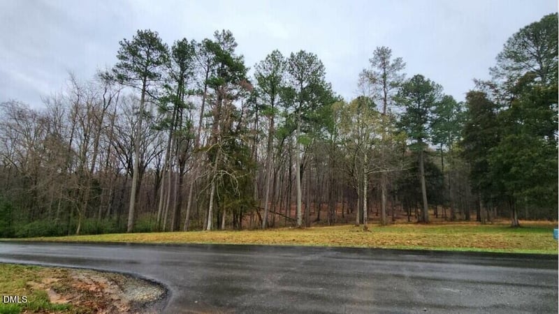 100 Brook Green Ln, Pittsboro, NC 27312