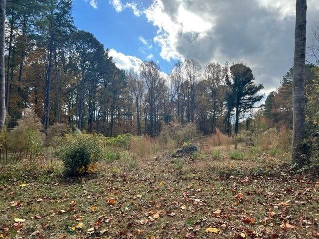 100 Chatterson Dr Lot 7, Raleigh, NC 27615