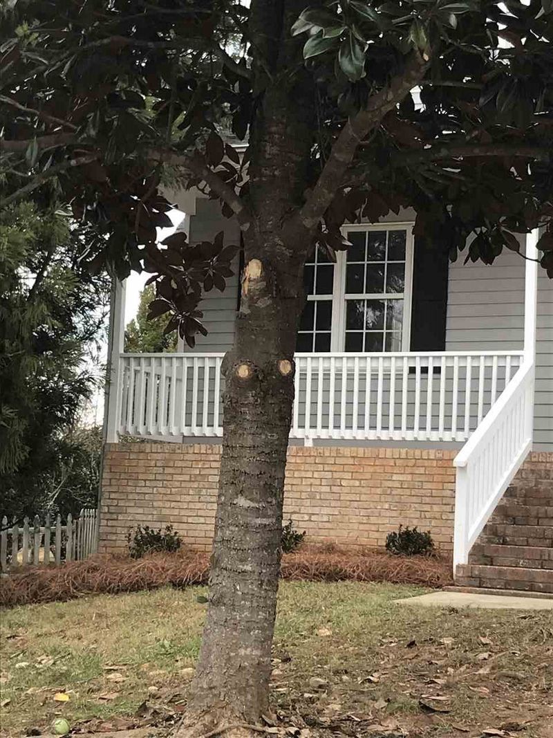 100 Highland Springs Ln, Holly Springs, NC 27540
