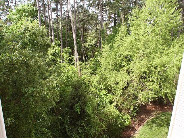 100 Northbrook Dr #107, Raleigh, NC 27609